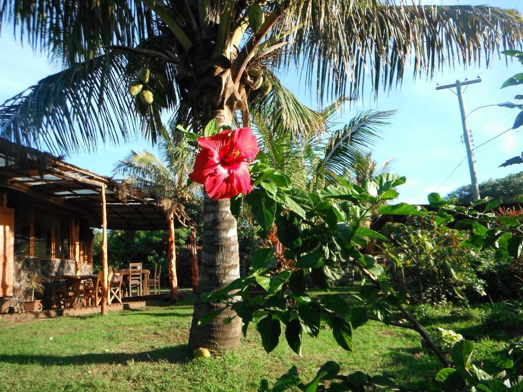 Mamma Nui Glamping Villa Hanga Roa Ngoại thất bức ảnh